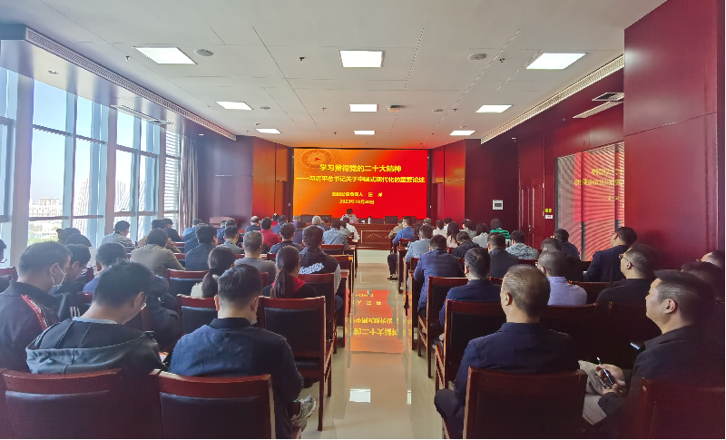 紧跟核心强忠诚 在深学细悟中坚定信仰信念 ——华体会官方端网站登录入口-华体会(中国)负责人汪洋同志为全体党员讲授主题教育专题党课